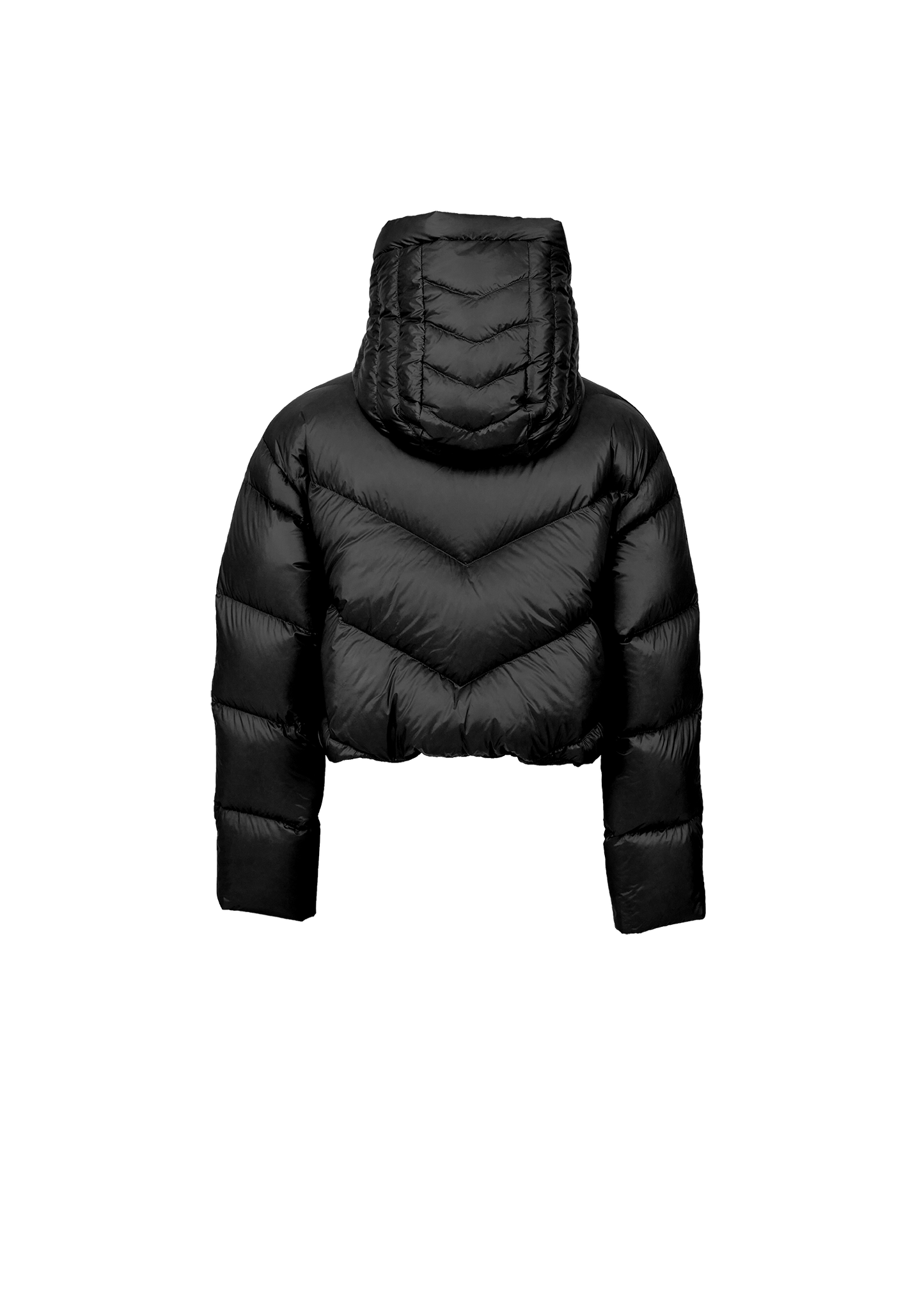 EOS (3-in-1) cropped down jacket